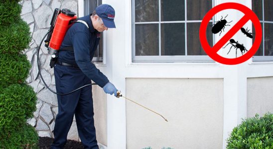 Aksaray Dezenfeksiyon böcek ilaçlama ve haşere kontrolü — ilaclama-tr.com